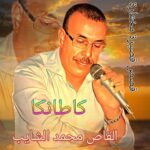 محمد الشايب